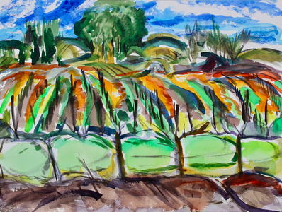 Autumn Vineyards, Napa, 2017, (watercolor on paper)