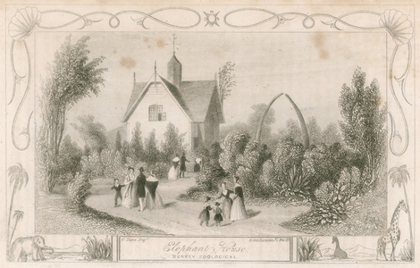 Elephant House at Surrey Zoological Gardens, London (engraving)