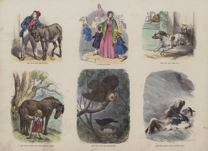 Page from the Attractive Picture Book (coloured engraving)