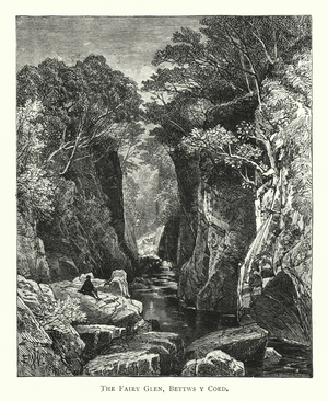 The Fairy Glen, Bettws y Coed (engraving)