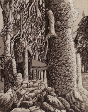 Niagara Falls: Winter wonders in the Park (litho)