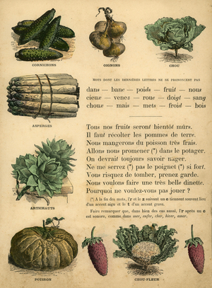 New illustrated alphabet Baby will soon know how to read, 1874 (illustration)
