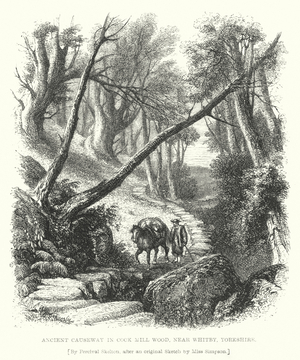 Ancient Causeway in Cock Mill Wood, near Whitby, Yorkshire (engraving)
