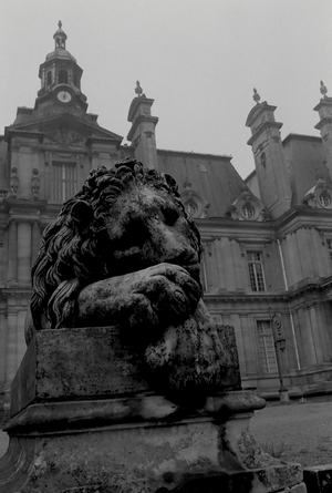Parcs and Gardens 4, France, 1993 (b/w photo)