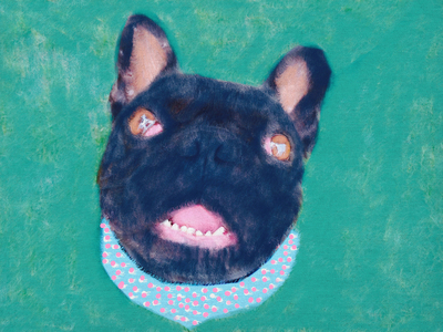 The Clever Dog Collection, 2019 (mixed media)