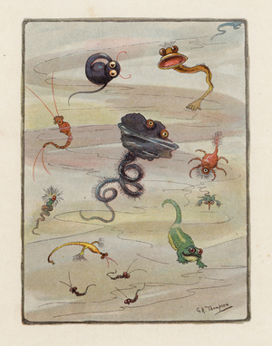 The Microbe (colour litho)