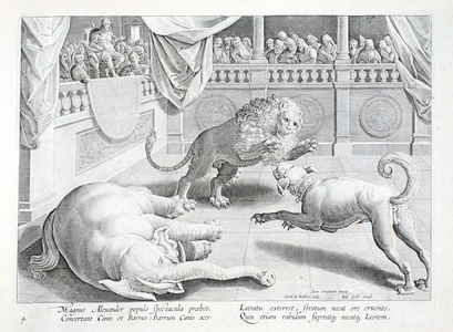 Alexander the Great puts on a spectacle, a lion, dog and elephant fight, 16th century (engraving)