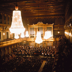 Vienna Philharmonia standing after