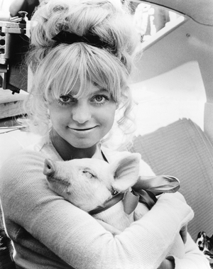 Goldie Hawn, The Sugarland Express 1974 Directed By Steven Spielberg