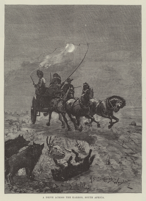 A Drive across the Karroo, South Africa (engraving)