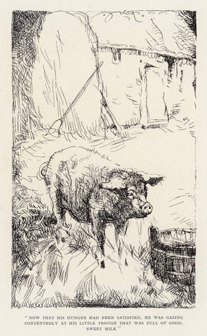Illustration for Beautiful Joe by Marshall Saunders (litho)