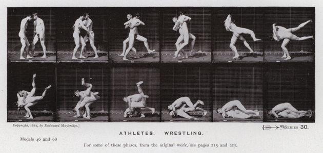 The Human Figure in Motion: Athletes, Wrestling (b/w photo)
