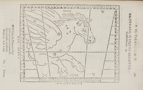 Pegaso. Pegasus the winged horse. An illustration of a star constellation from a 17th astronomy record.