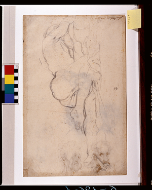 Nude study, head study (drawing)