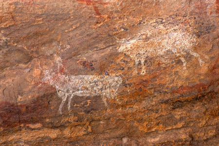 Cave painting depicting animals, Tassili n’Ajjer, Tadart Rouge - Bovidic period, Tassili n'Ajjer, Algeria, 2000 (photo)
