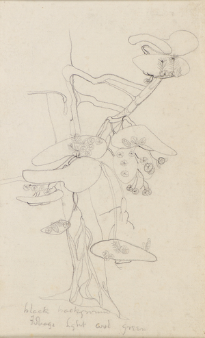 Botanical Drawing, 1898-1900 (pencil)