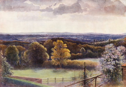 Surrey: View from Coneyhurst Hill, Ewehurst (colour litho)