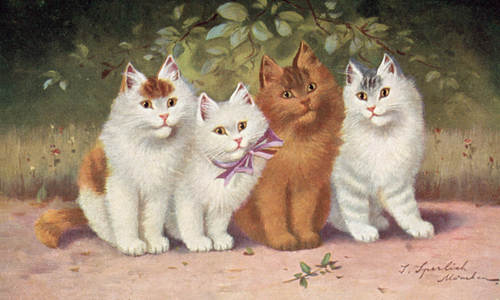 Cat postcard (colour litho)
