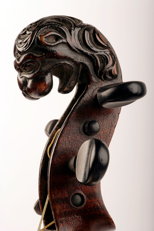 Violin scroll  -