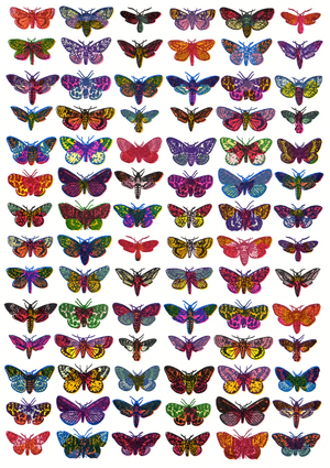 Moths, 2009 (screen print)