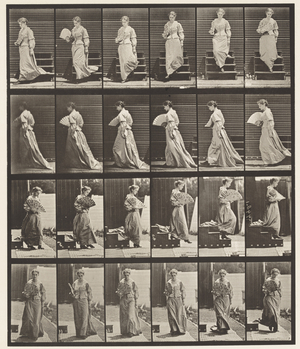 Plate 141. Descending Stairs and Flirting Fan, 1885 (collotype on paper)