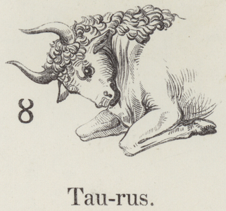 Taurus (engraving)