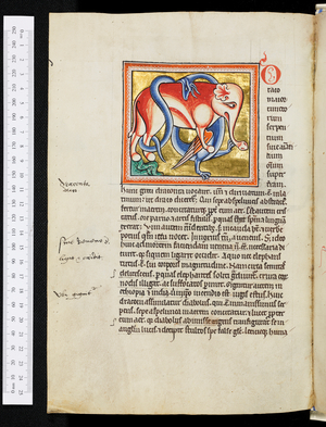 The Ashmole Bestiary, Dragon killing an elephant,1201-1225 (illuminated manuscript)