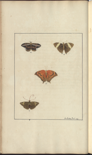 Lindsay Drawings Vol. VI, 41, 1750-79 (w/c on paper)