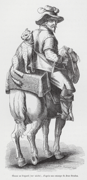 Hunter using a leopard to hunt rabbits (engraving)