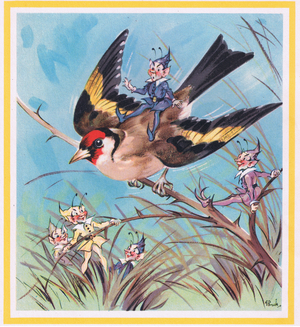 Goldfinch (colour litho)