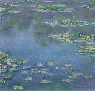 Water Lilies, 1906 (oil on canvas)