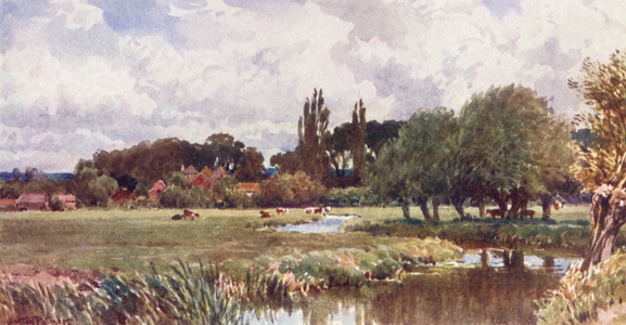 The Meads, Farnham (colour litho)
