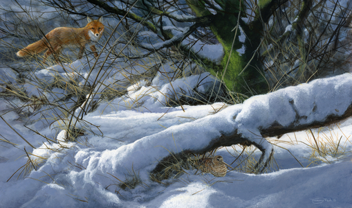Winter hiding place - fox and woodcock, acrylic on board, 2017