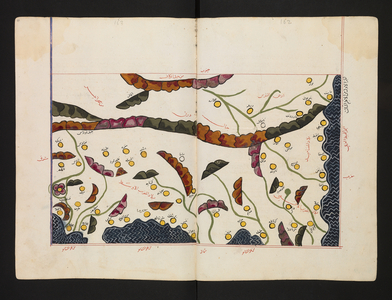 The 'book of pleasant journeys into faraway lands', 1553 (drawing)