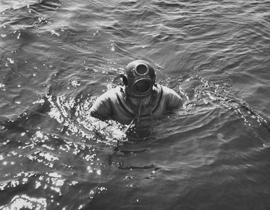 High angle view of a deep-sea diver swimming in water, Tarpon Springs, Florida, USA