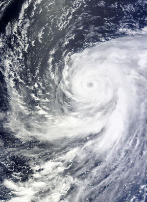 Typhoon Ma-on, 2011