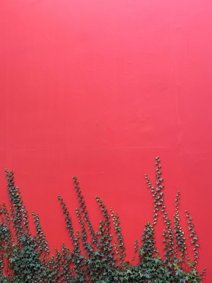 Composition - Architecture - Details, 2024 (photo)