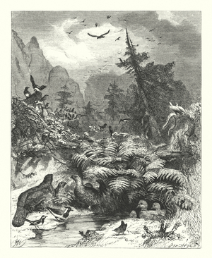 Search after God (engraving)