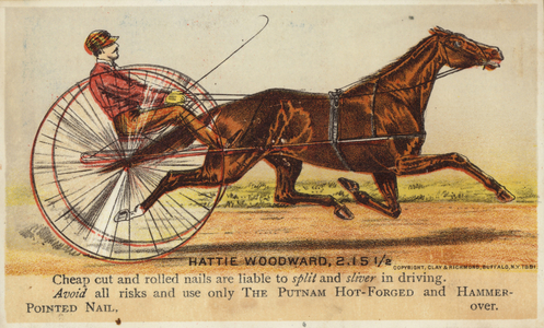 Gentleman Horse-Driving very fast. (chromolitho)