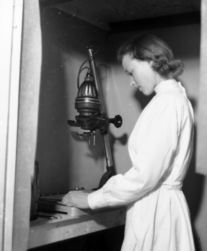 Oslo 19450515 Report from the home front's copy facility. A woman copies. "A small …, 1945 (photo)
