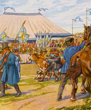 Viehpreisverteilung / Livestock Price Distribution (colour litho)