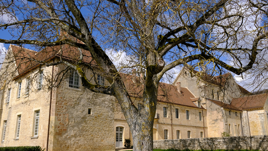 Noirlac Abbey, Bruère-Allichamps, France, 2023 (photo)