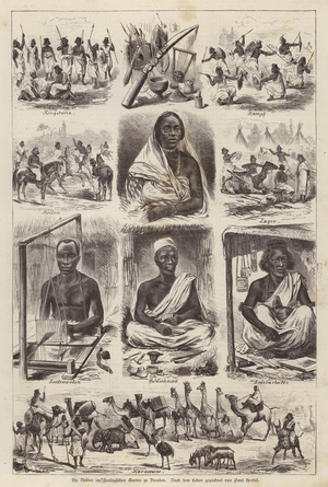 Nubians at the Zoological Garden of Dresden, Germany (engraving)
