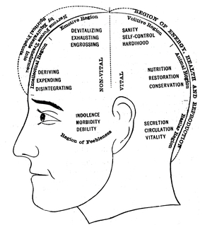 An engraving depicting a diagram showing the supposed functions of various areas of the brain, 19th century