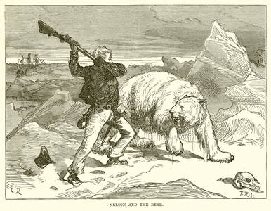 Nelson and the Bear (engraving)
