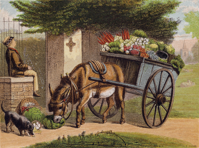 The Idle Boy (colour litho)