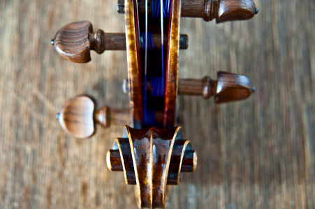 Violin