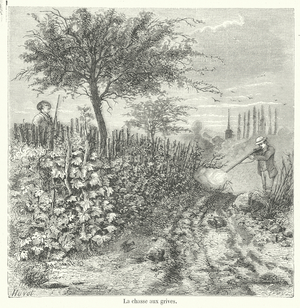 La chasse aux grives (engraving)