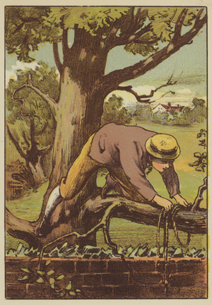 The escape (coloured engraving)