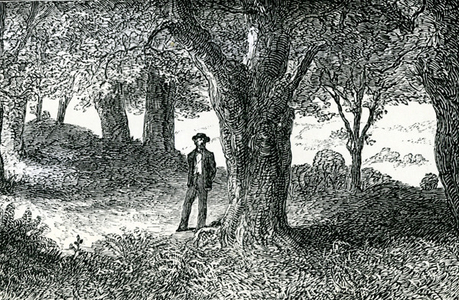 Illustraion from 'Lady Geraldine’s Courtship' (engraving)